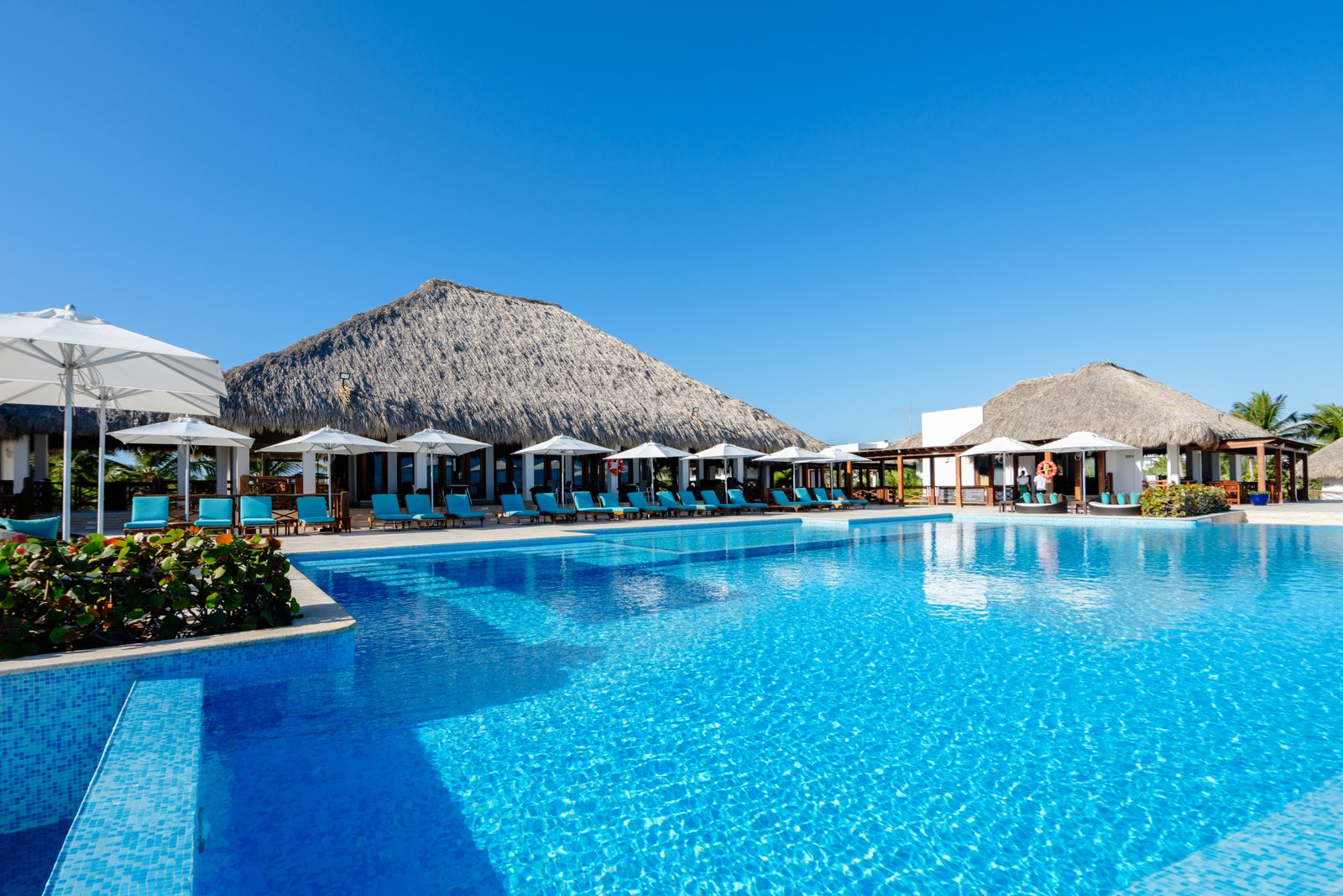 Onasis Cedano Photo Capture