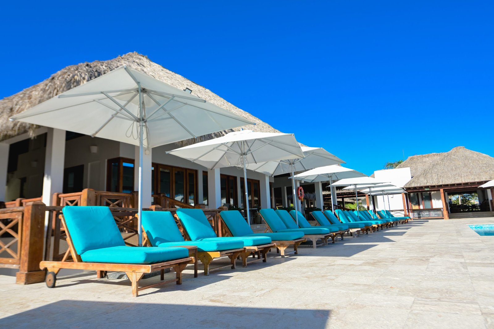 Onasis Cedano Photo Capture