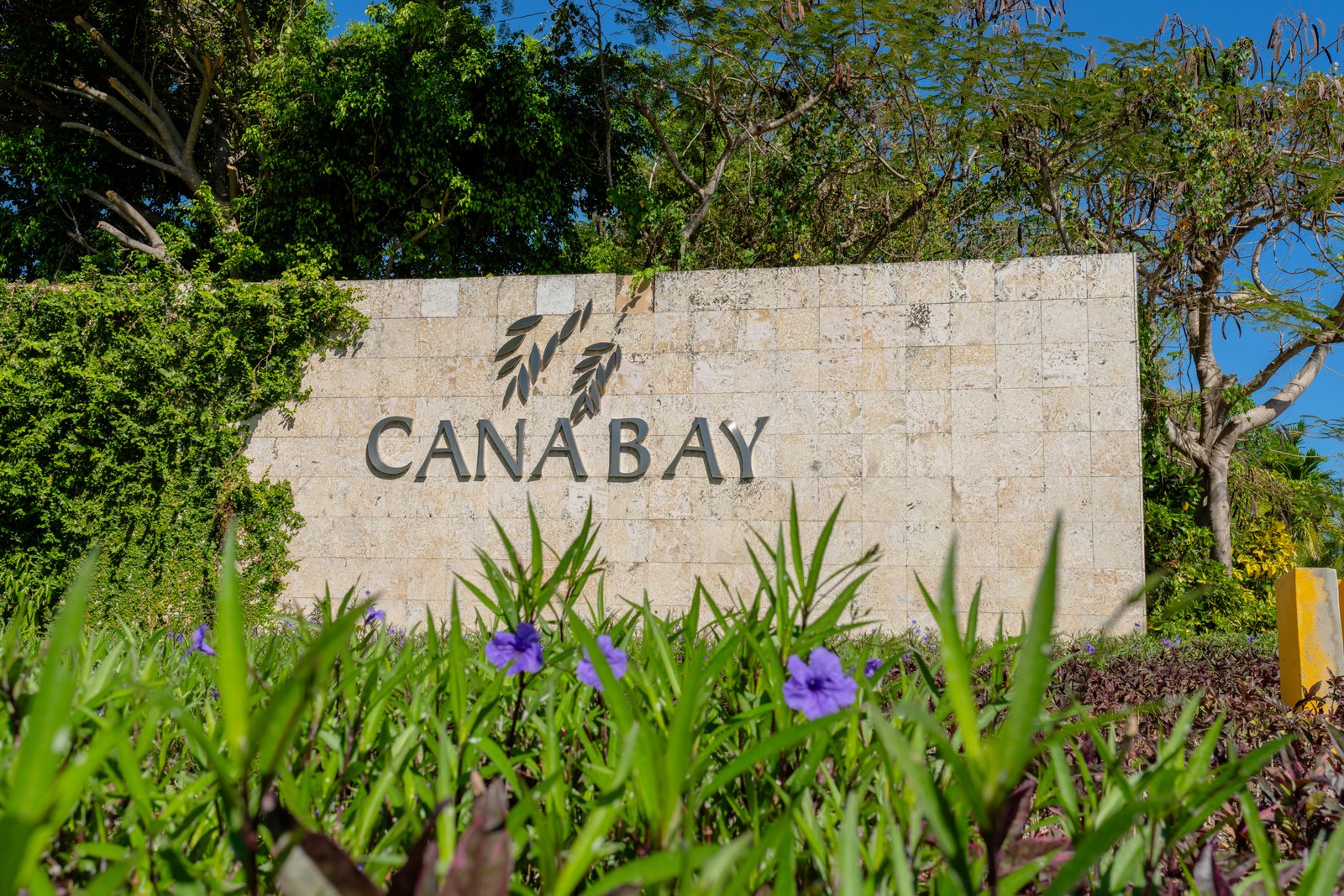 Onasis Cedano Photo Capture