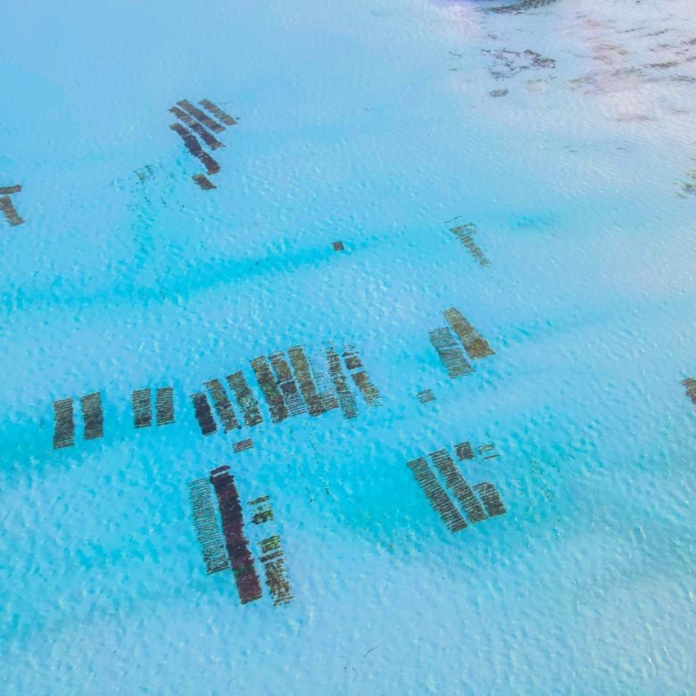 Immagine WhatsApp 2025 09 27 ore 18.11.50 55da0f03