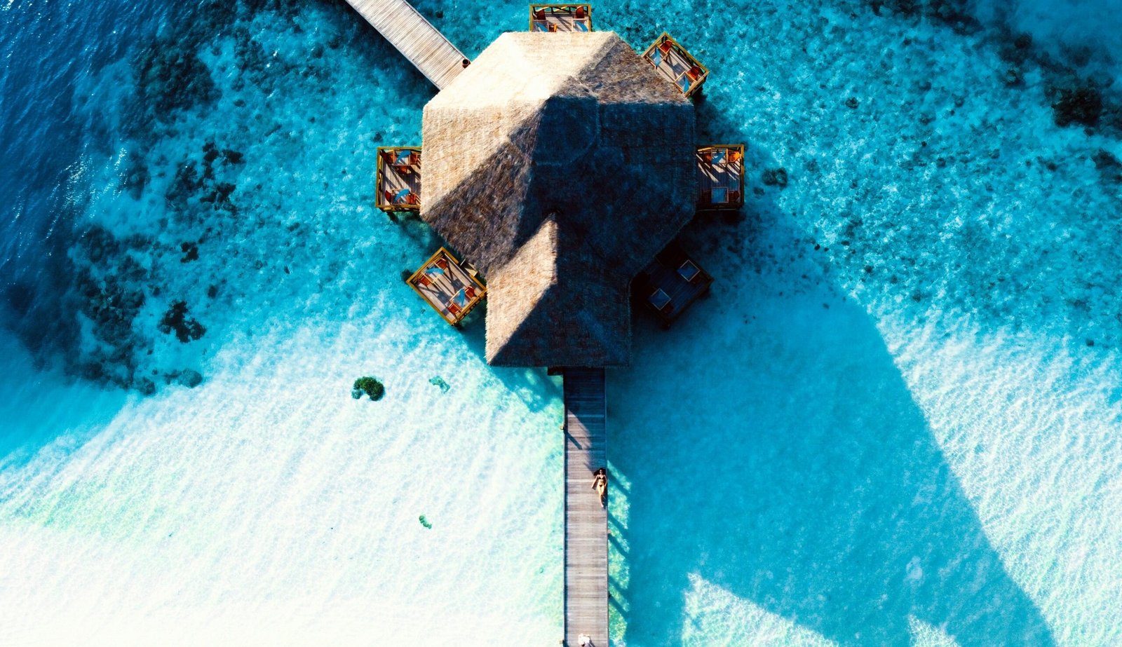Luxury villa Zanzibar ocean view contemporary architecture 5 scaled